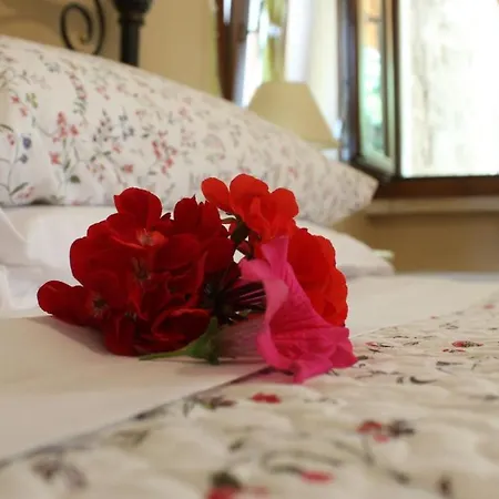 Lo Gnomo Bed & Breakfast *